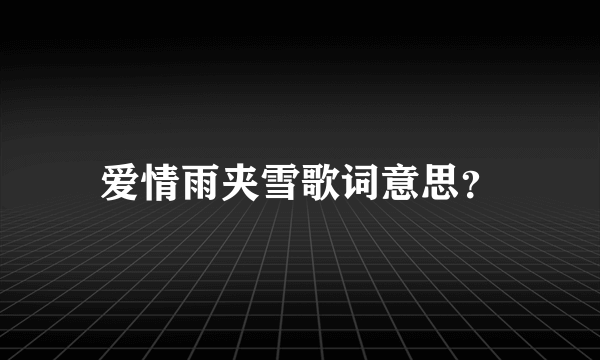 爱情雨夹雪歌词意思？