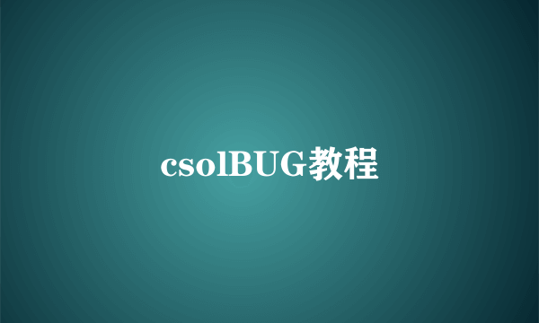 csolBUG教程