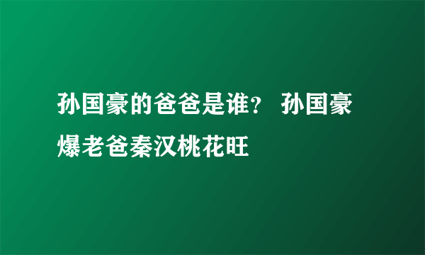 孙国豪的爸爸是谁？ 孙国豪爆老爸秦汉桃花旺