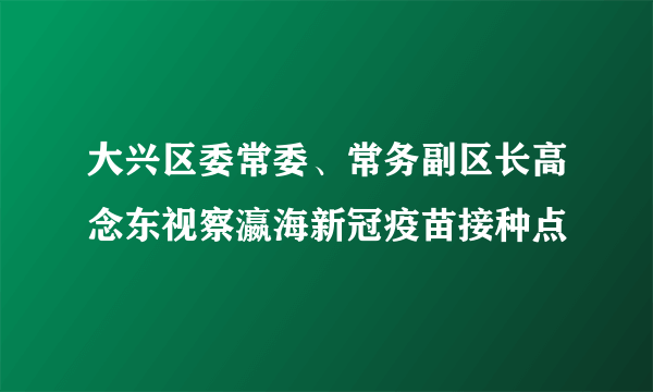 大兴区委常委、常务副区长高念东视察瀛海新冠疫苗接种点