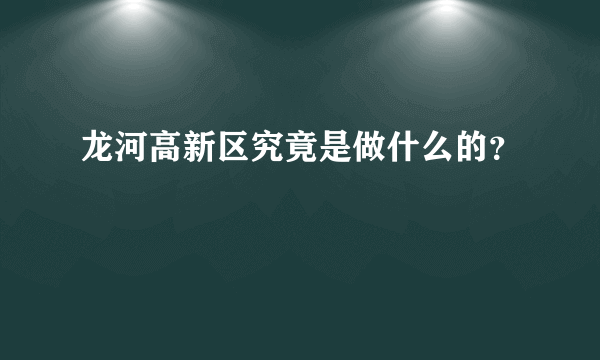 龙河高新区究竟是做什么的？