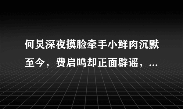 何炅深夜摸脸牵手小鲜肉沉默至今，费启鸣却正面辟谣，他们的关系究竟如何？