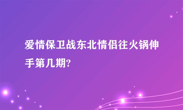 爱情保卫战东北情侣往火锅伸手第几期?