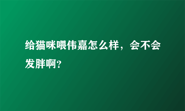 给猫咪喂伟嘉怎么样，会不会发胖啊？