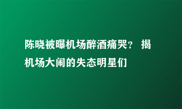 陈晓被曝机场醉酒痛哭？ 揭机场大闹的失态明星们