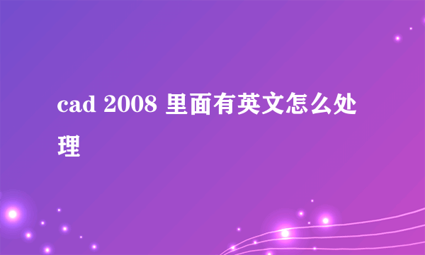 cad 2008 里面有英文怎么处理