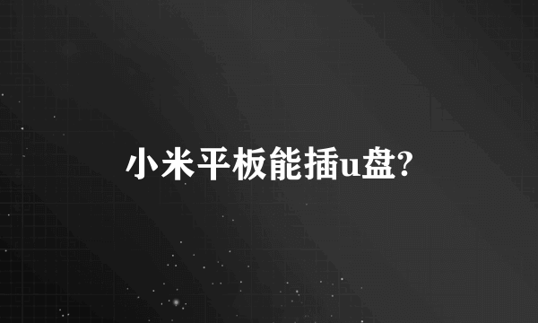 小米平板能插u盘?