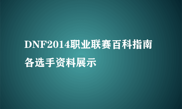 DNF2014职业联赛百科指南 各选手资料展示