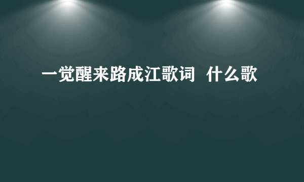 一觉醒来路成江歌词  什么歌