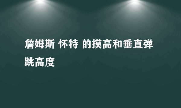 詹姆斯 怀特 的摸高和垂直弹跳高度