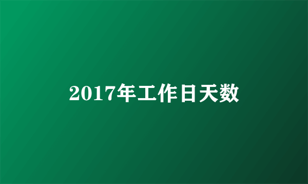 2017年工作日天数