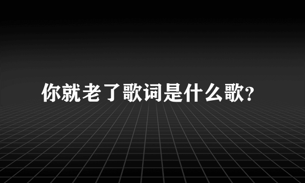 你就老了歌词是什么歌？