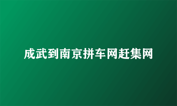 成武到南京拼车网赶集网