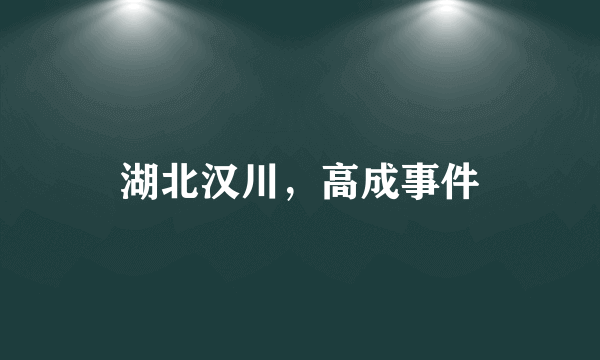 湖北汉川，高成事件