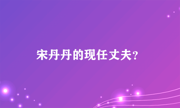 宋丹丹的现任丈夫？