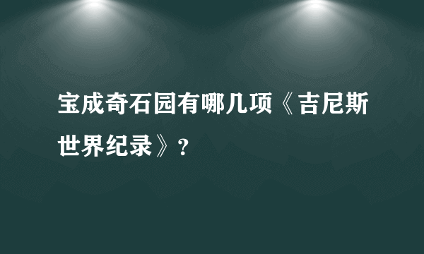 宝成奇石园有哪几项《吉尼斯世界纪录》？