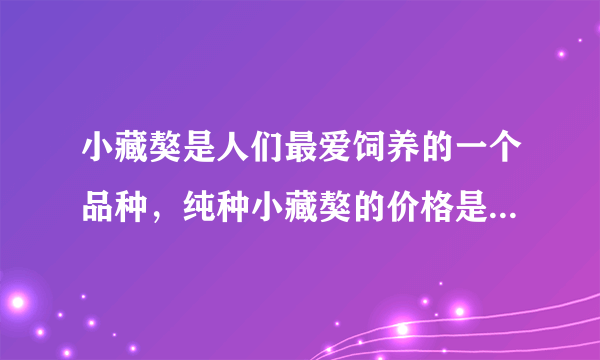 小藏獒是人们最爱饲养的一个品种，纯种小藏獒的价格是多少呢？