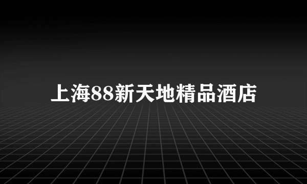 上海88新天地精品酒店