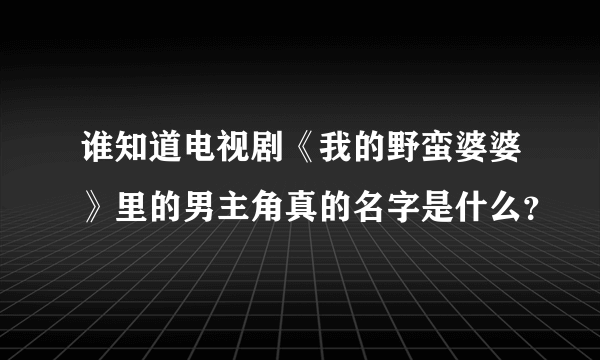 谁知道电视剧《我的野蛮婆婆》里的男主角真的名字是什么？