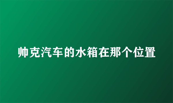 帅克汽车的水箱在那个位置