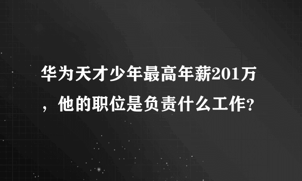 华为天才少年最高年薪201万，他的职位是负责什么工作？