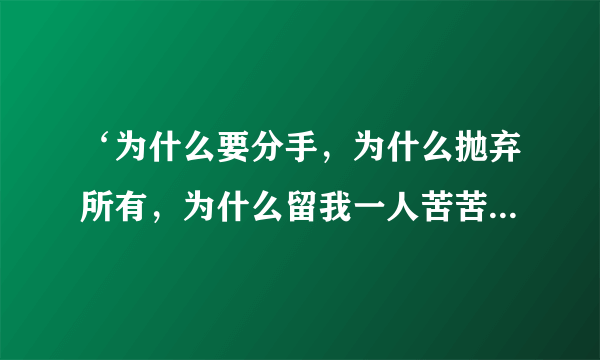 ‘为什么要分手，为什么抛弃所有，为什么留我一人苦苦等候’...这什么歌?