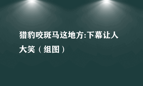 猎豹咬斑马这地方:下幕让人大笑（组图）