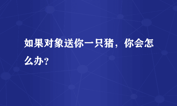 如果对象送你一只猪，你会怎么办？