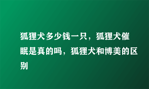 狐狸犬多少钱一只，狐狸犬催眠是真的吗，狐狸犬和博美的区别