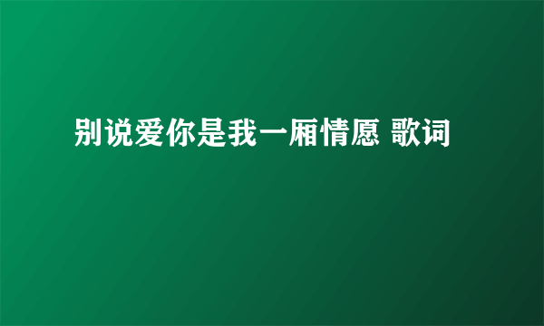 别说爱你是我一厢情愿 歌词