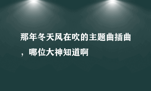 那年冬天风在吹的主题曲插曲，哪位大神知道啊