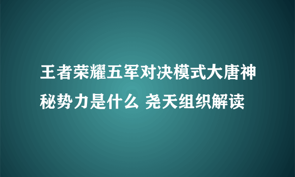 王者荣耀五军对决模式大唐神秘势力是什么 尧天组织解读