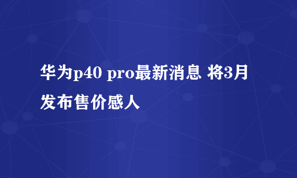 华为p40 pro最新消息 将3月发布售价感人