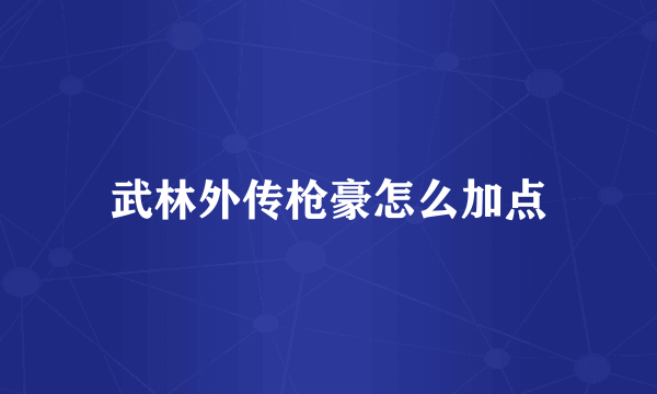 武林外传枪豪怎么加点