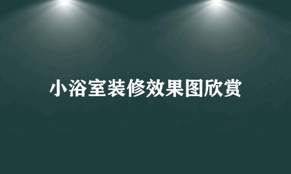 小浴室装修效果图欣赏