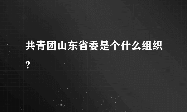 共青团山东省委是个什么组织？