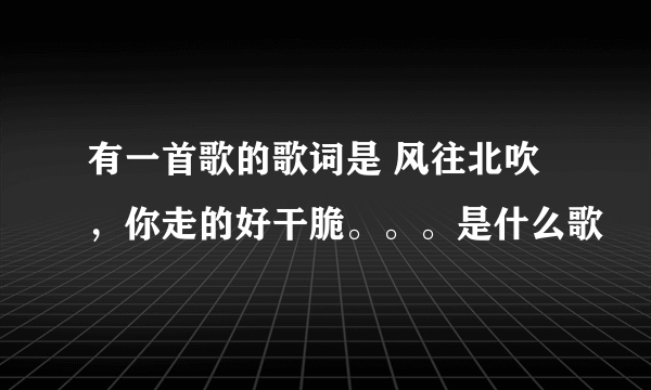 有一首歌的歌词是 风往北吹 ，你走的好干脆。。。是什么歌