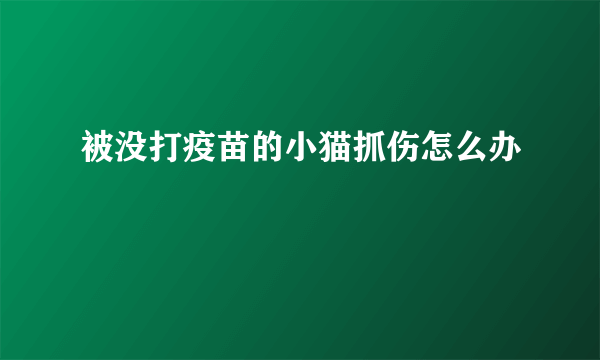 被没打疫苗的小猫抓伤怎么办