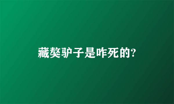 藏獒驴子是咋死的?