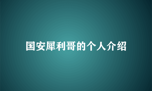 国安犀利哥的个人介绍