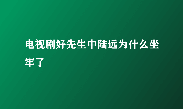 电视剧好先生中陆远为什么坐牢了