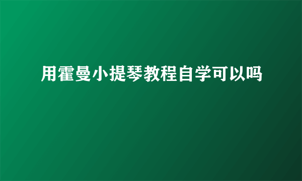 用霍曼小提琴教程自学可以吗