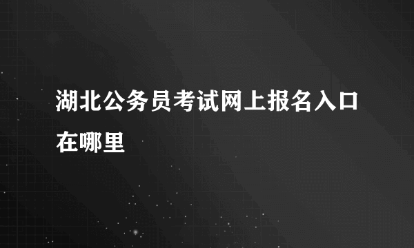 湖北公务员考试网上报名入口在哪里