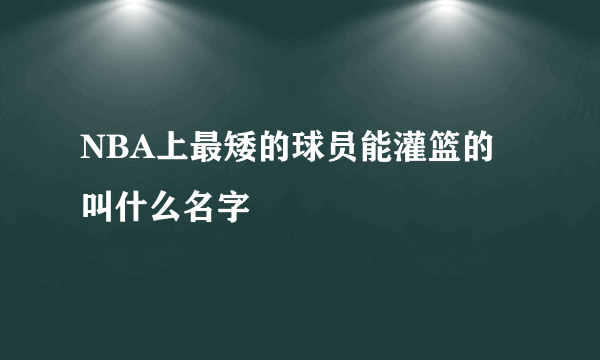 NBA上最矮的球员能灌篮的叫什么名字