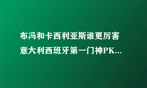 布冯和卡西利亚斯谁更厉害 意大利西班牙第一门神PK_飞外网