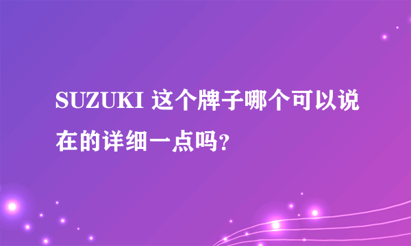 SUZUKI 这个牌子哪个可以说在的详细一点吗？