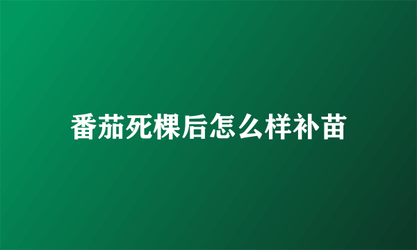 番茄死棵后怎么样补苗