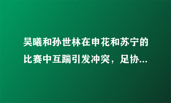 吴曦和孙世林在申花和苏宁的比赛中互踹引发冲突，足协会追加处罚吗？对此你怎么看？