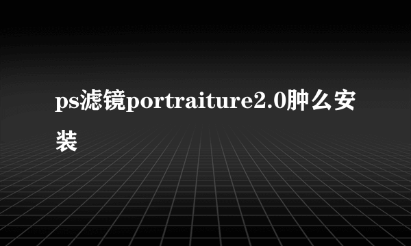 ps滤镜portraiture2.0肿么安装