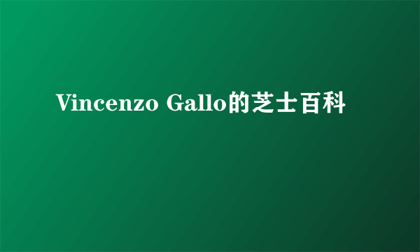 Vincenzo Gallo的芝士百科